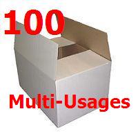 -PACK PRO DE 100 GRANDS CARTONS (BLANC) MULTI - USAGES