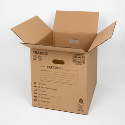 CARTON INFORMATIQUE PETIT MODELE