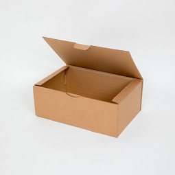 Carton e-commerce BP352213