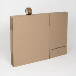 KIT 10 CARTONS STANDARD