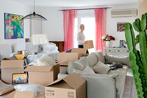 Cartons et fournitures déménagement pour salon