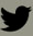 Suivez nous sur Twitter