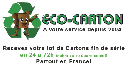 Pack déménagement 99 pièces